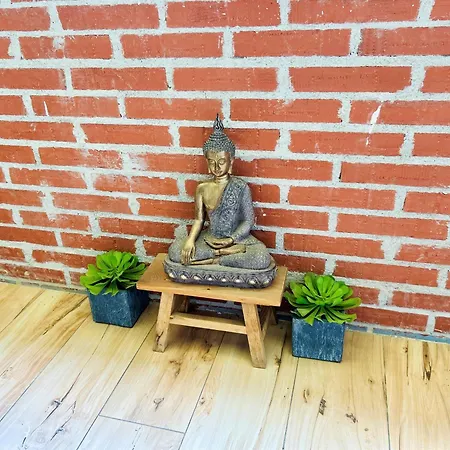 Appartement Ecochic In Center *