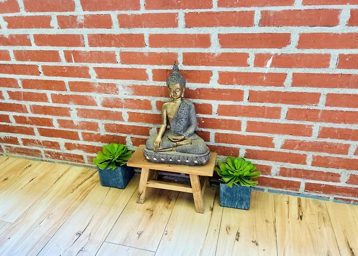 Apartamento Ecochic In Center *